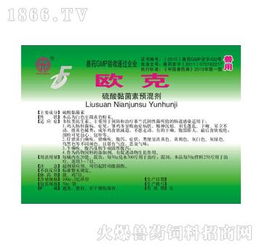 欧克 鸡大肠杆菌病,仔猪黄白痢疾用什么药 产品图片