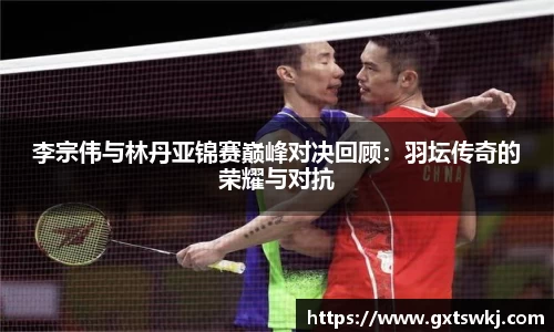 球速体育官网