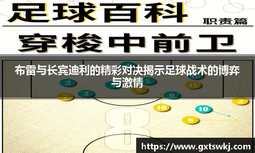球速体育平台