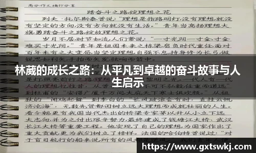 球速体育