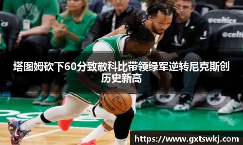 球速体育平台