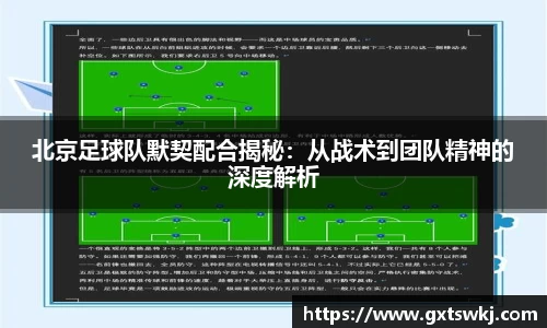 球速体育APP