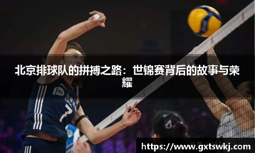 球速体育平台