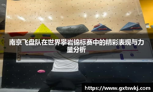 南京飞盘队在世界攀岩锦标赛中的精彩表现与力量分析